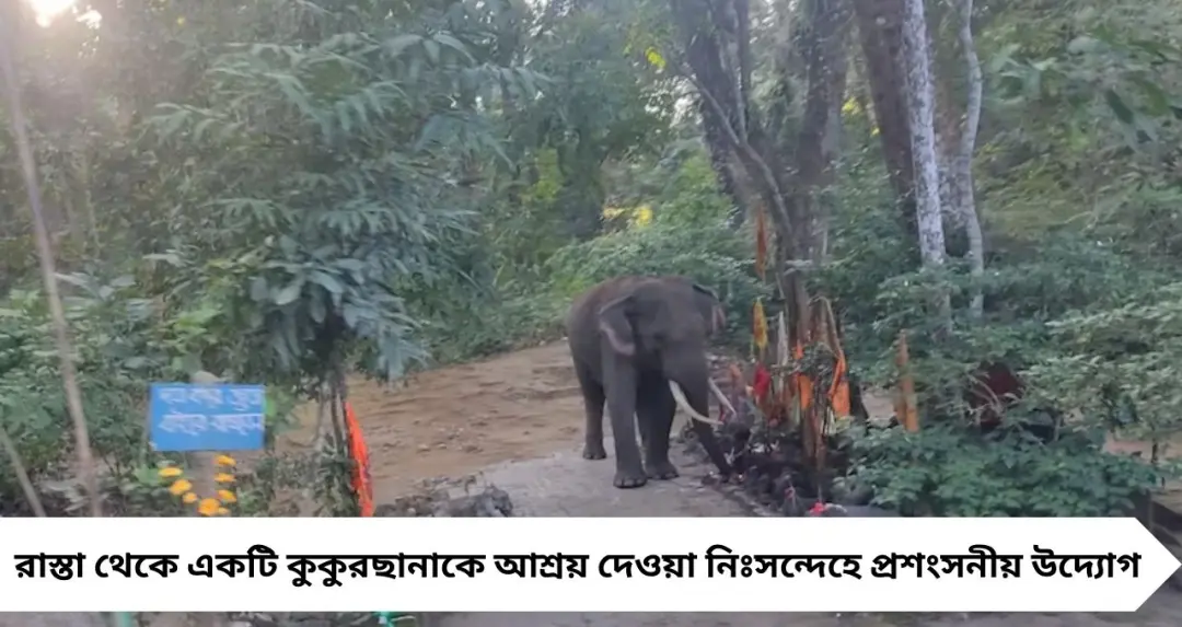 Maha Shivratri 2026: শিবরাত্রিতে লাটাগুড়ির মহাকাল মন্দিরে জল ঢালতে যাচ্ছেন? হাতির দাপটে বাড়তি সতর্কতা বন দফতরের
