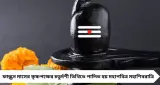 Maha Shivratri Rituals 2026: মহাশিবরাত্রিতে এভাবে বেলপাতা নিবেদন করলেই পূর্ণ হবে মনোকামনা! কোন দিকে বেলগাছ রাখলে অর্থসমৃদ্ধি?
