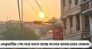 IMD Weather Update: পাহাড়ে বসন্তের ছোঁয়া, সমতলে বাড়ছে গরমের দাপট! দহনজ্বালা কবে থেকে? বড় আপডেট
