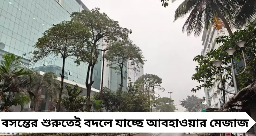 West Bengal Weather Update: মেঘলা আকাশে বৃষ্টির ইঙ্গিত, সোম-মঙ্গলবার দক্ষিণবঙ্গের ৮ ও উত্তরবঙ্গের ৩ জেলায় বর্ষণের সম্ভাবনা
