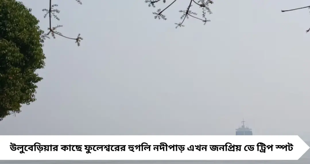 Day Trip: শহর থেকে একটু দূরেই গঙ্গার পাড়ে শান্ত বিকেল, আজই ঘুরে আসুন ফুলেশ্বরে