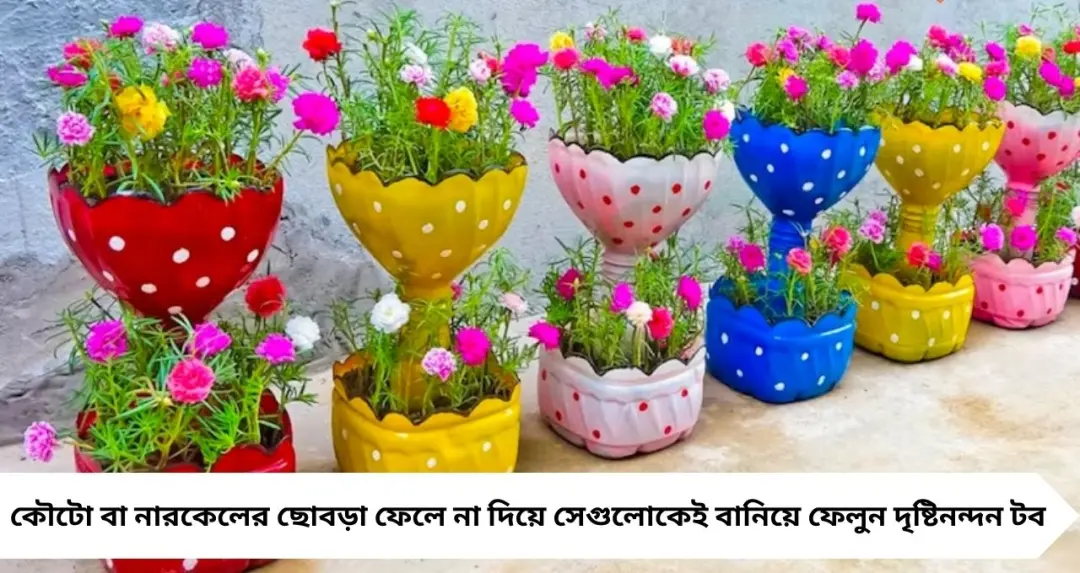 DIY Garden Ideas: পুরনো প্লাস্টিক বোতলেই ম্যাজিক! ফেলে না দিয়ে বানান নজরকাড়া টব, সবুজে ভরুক ঘর