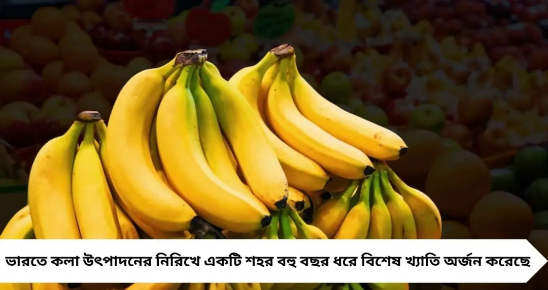 Knowledge Story: ভারতের ‘কলার রাজধানী’ কোন শহর? জানলে অবাক হবেন!
