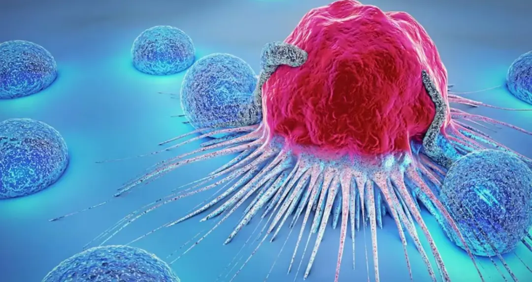 HPV টিকা নেওয়ার সঠিক বয়স কত? জরায়ুমুখ ক্যানসার প্রতিরোধে কতটা কার্যকর জানালেন বিশেষজ্ঞরা
