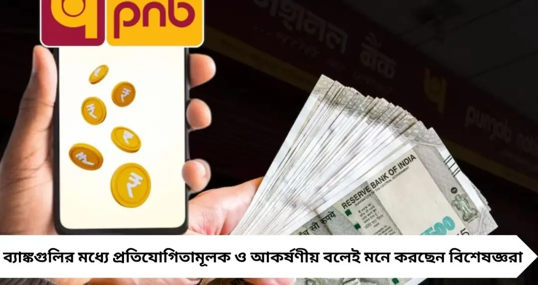 PNB-র ৪৪৪ দিনের FD-তে সেরা সুদ! সাধারণ থেকে সুপার সিনিয়র—কারা পাচ্ছেন কত রিটার্ন?
