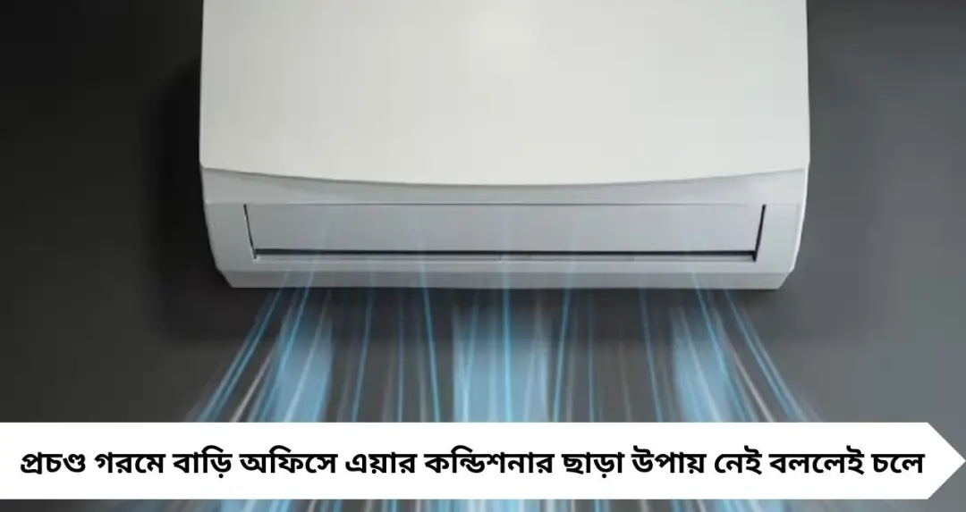 সারাদিন এসির নীচে থাকছেন? চোখের মারাত্মক ক্ষতি হচ্ছে নীরবে, সতর্ক করলেন বিশেষজ্ঞরা
