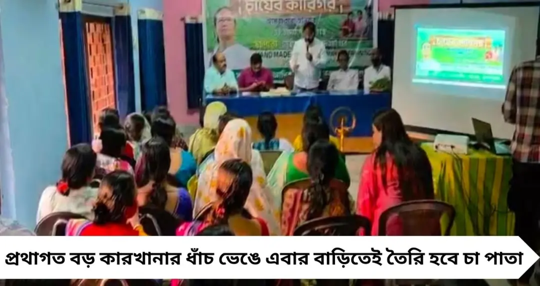 কারখানা ছাড়াই চা উৎপাদন! জলপাইগুড়িতে ঘরে বসেই হ্যান্ডমেড টি, কম পুঁজিতে বড় লাভের দিশা
