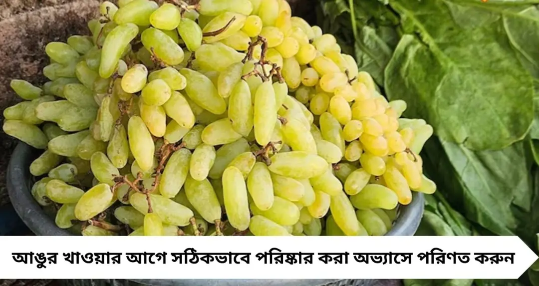 Grapes Cleaning Tips: শুধু জলে নয়, এভাবেই পরিষ্কার করুন আঙুর! কীটনাশক দূর করার সহজ ঘরোয়া উপায় জানুন
