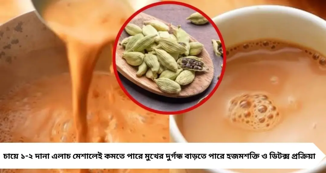 Oral Odour: চায়ে ফেলুন ২ দানা এলাচ! মুহূর্তে কমবে মুখের দুর্গন্ধ, শরীরও হবে ডিটক্স
