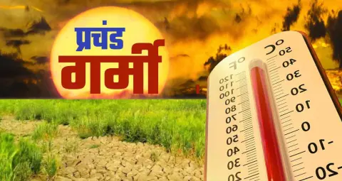 Weather Crisis 2026: मार्च में पड़ेगी भीषण गर्मी, गेहूं और सरसों की पैदावार पर मंडराया खतरा