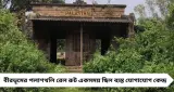 Abandoned Rail Route: বীরভূমের ‘ভূতুড়ে’ পলাশথলি রেলপথ! একসময়ের কোলাহল আজ স্তব্ধ, ট্রেন বন্ধের রহস্যে ঘেরা সীমান্তাঞ্চল