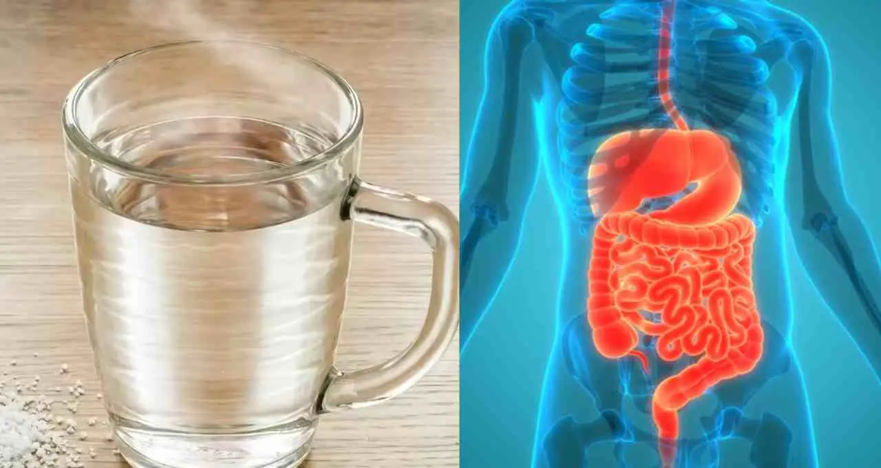 खाली पेट गुनगुना पानी: सेहत के लिए क्यों है सबसे बेहतर