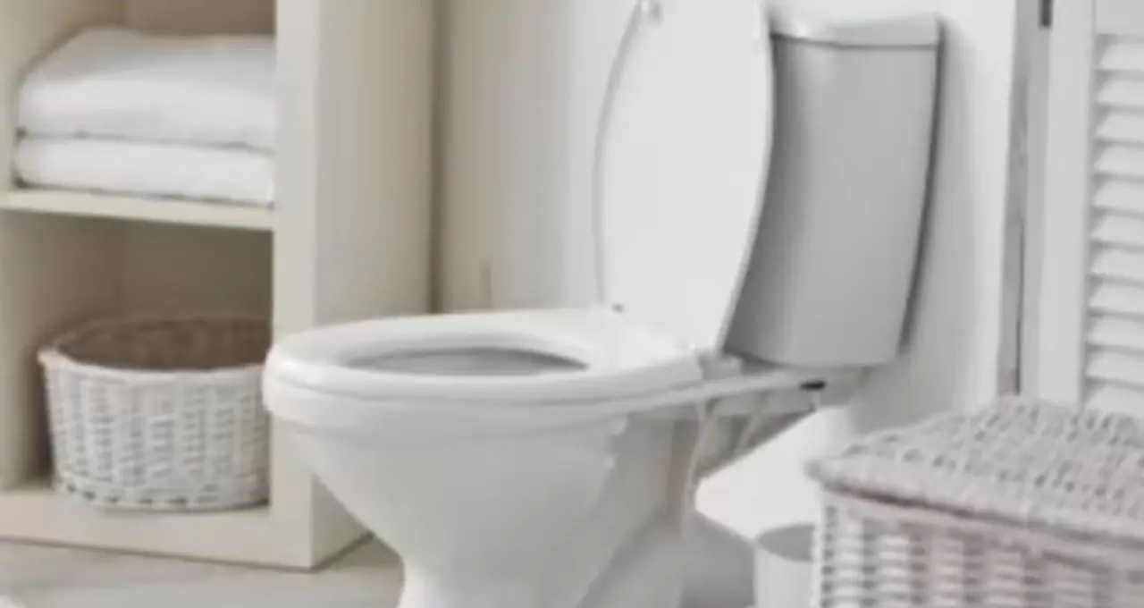 Toilet Cleaning Tips: বাড়িতে তৈরি বড়ি দিয়ে এক মিনিটেই ঝকঝকে কমোড! হাতে সময় না থাকলেও মিলবে সমাধান
