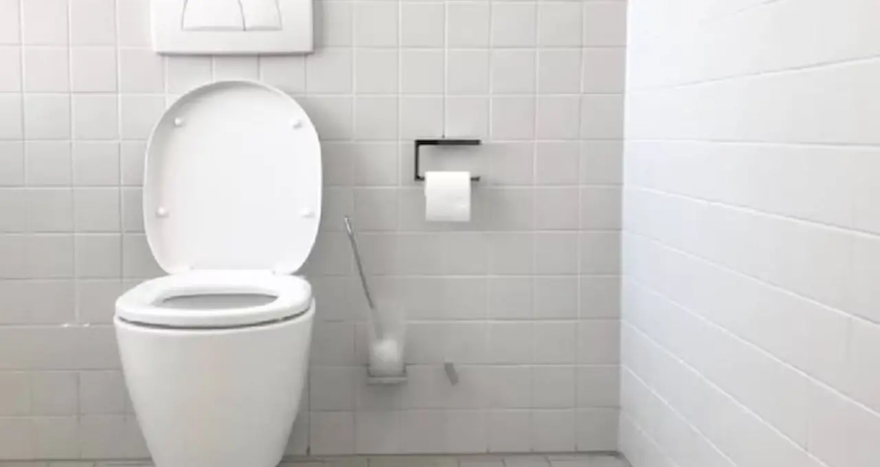 Toilet Cleaning Tips: বাড়িতে তৈরি বড়ি দিয়ে এক মিনিটেই ঝকঝকে কমোড! হাতে সময় না থাকলেও মিলবে সমাধান
