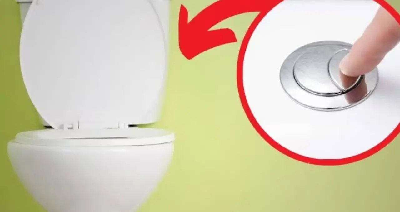Toilet Cleaning Tips: বাড়িতে তৈরি বড়ি দিয়ে এক মিনিটেই ঝকঝকে কমোড! হাতে সময় না থাকলেও মিলবে সমাধান
