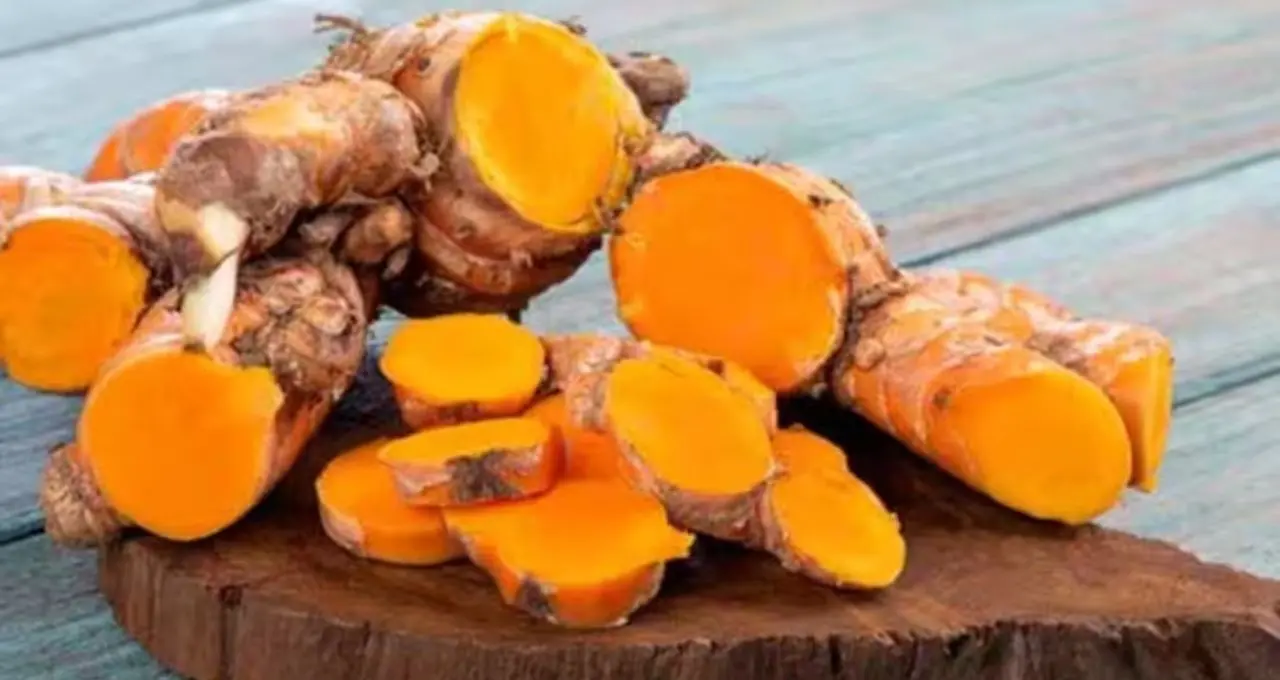 Raw Turmeric Benefits: বিষমুক্ত শরীরের সোনার খনি কাঁচা হলুদ! গাঁটের ব্যথা থেকে গ্যাস-অম্বল— এক মশলাই বহু উপকার
