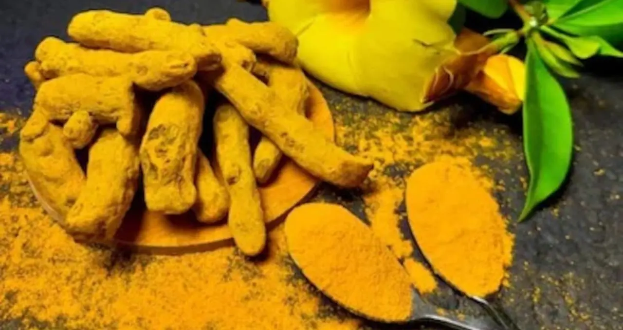 Raw Turmeric Benefits: বিষমুক্ত শরীরের সোনার খনি কাঁচা হলুদ! গাঁটের ব্যথা থেকে গ্যাস-অম্বল— এক মশলাই বহু উপকার
