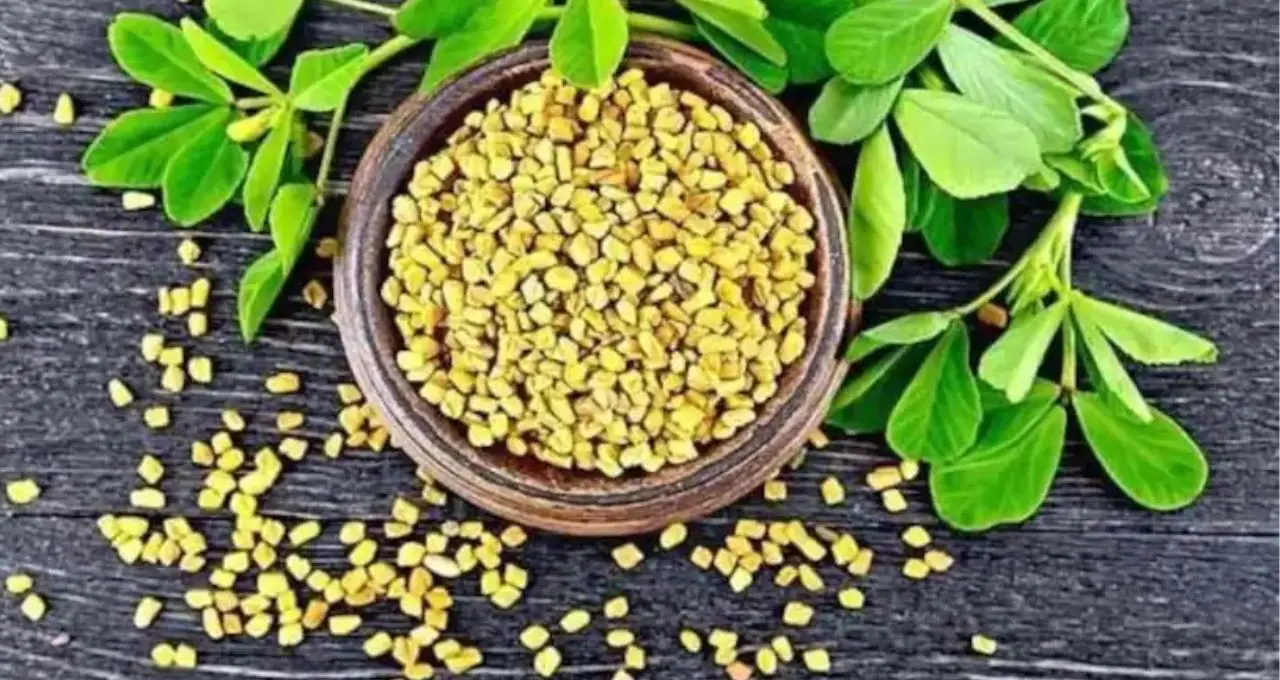 টাক মাথায় চুল গজাবে হুড়হুড়িয়ে? রান্নাঘরের ছোট্ট ‘হলুদ দানা’ মেথিতেই লুকিয়ে সমাধান!