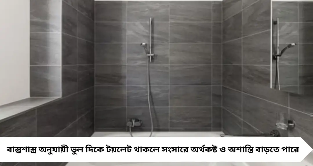 উত্তর-পূর্ব কোণে টয়লেট? বাস্তুশাস্ত্র বলছে সর্বনাশের ইঙ্গিত! সংসারে আর্থিক টানাপোড়েন ও অশান্তির আশঙ্কা
