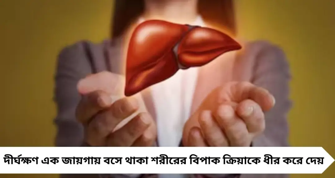 Healthy Liver Tips: দীর্ঘক্ষণ ডেস্কে বসে কাজ? ফ্যাটি লিভারের ঝুঁকি বাড়ছে, জানাল জাতীয় স্বাস্থ্য মিশন
