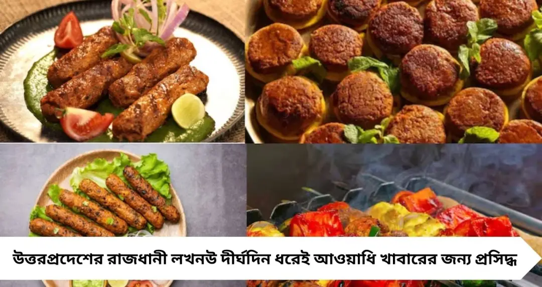 GK: ‘কাবাবের রাজধানী’ বলা হয় ভারতের কোন শহরকে? জানলে চমকে উঠবেন!
