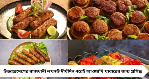 GK: ‘কাবাবের রাজধানী’ বলা হয় ভারতের কোন শহরকে? জানলে চমকে উঠবেন!
