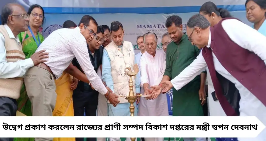 Bengal Fish Fest 2026: ‘বিষ খেয়ে সুস্থ থাকা যায় না’— ভেজাল মাছ চাষে কড়া হুঁশিয়ারি মন্ত্রী স্বপন দেবনাথ-এর
