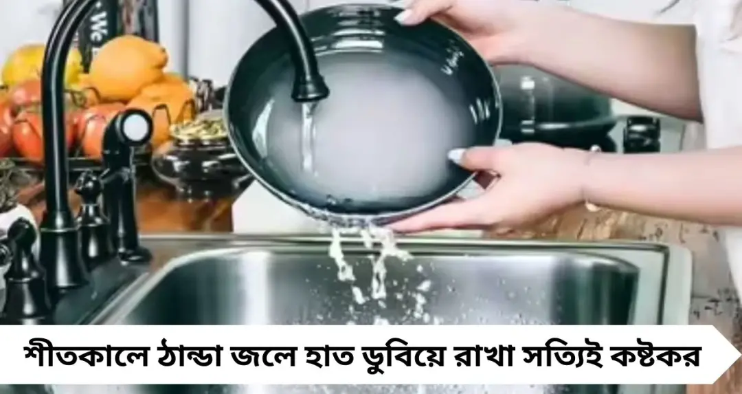 রান্না ভাল, বাসন মাজা নয়! ঠান্ডা জলে হাত জমে গেলে মেনে চলুন এই সহজ ‘কিচেন হ্যাকস’
