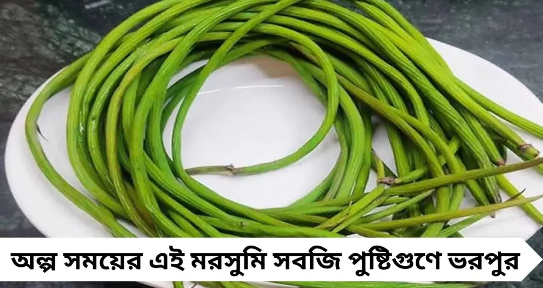 দাম একটু বেশি? তবু কিনুন কচি সজনে! অ্যান্টি-অক্সিডেন্টে ভরপুর এই ‘সুপারফুড’ ওজনও কমায়
