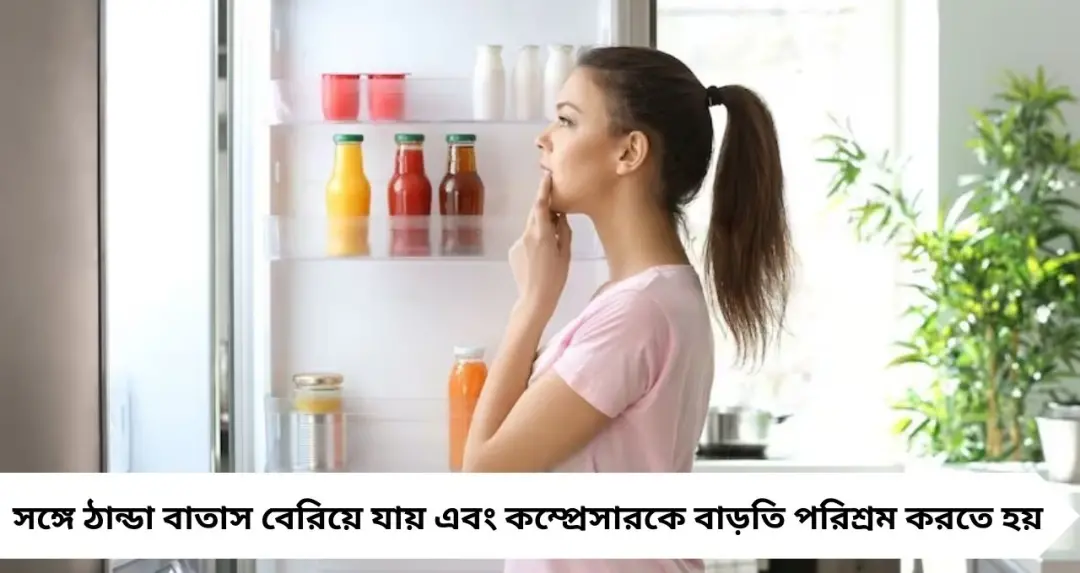 ৩০ সেকেন্ড ফ্রিজের দরজা খোলা রাখলেই কি দ্বিগুণ ইলেকট্রিক বিল? জানুন আসল বিজ্ঞান
