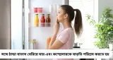 ৩০ সেকেন্ড ফ্রিজের দরজা খোলা রাখলেই কি দ্বিগুণ ইলেকট্রিক বিল? জানুন আসল বিজ্ঞান
