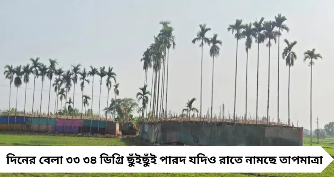 দোলের আগেই শীতকে বিদায়? জঙ্গলমহলে ৩৪° ছুঁইছুঁই, রং খেলায় কি থাকবে শিরশিরানি হাওয়া?
