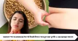 ১ চামচ মেথির জলে মিলবে স্বস্তি? পিরিয়ড, PCOD ও থাইরয়েড সমস্যায় ঘরোয়া উপায়ে ভরসা বাড়ছে মহিলাদের
