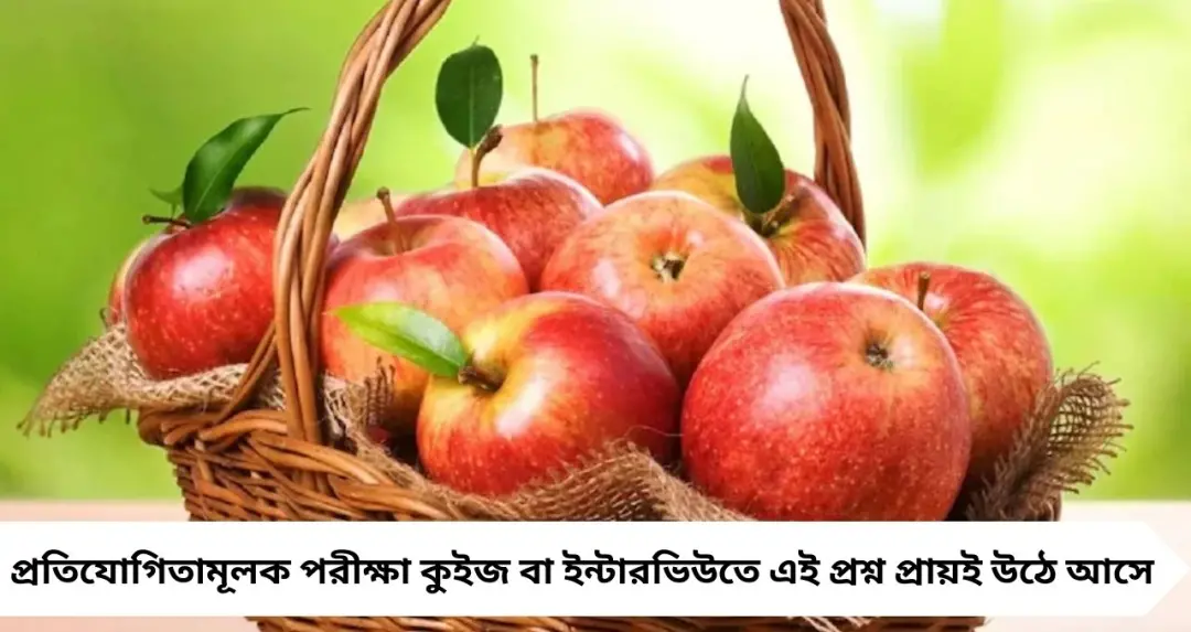 GK: ভারতের আপেল রাজধানী কোন শহর? ৯৯% মানুষ ভুল বলেন, সঠিক উত্তর জানুন

