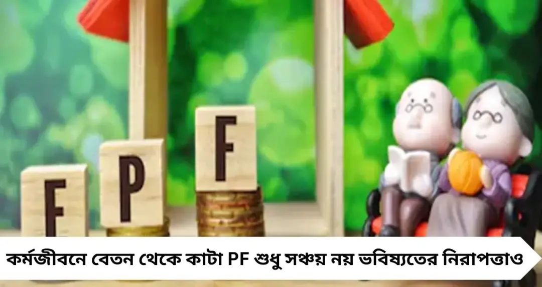 EPFO নিয়ম: স্কিম সার্টিফিকেট কী? PF তোলার সময় ফর্ম 10C কেন এত গুরুত্বপূর্ণ
