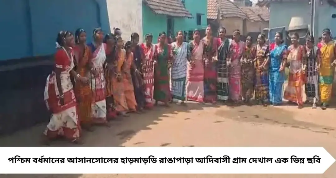 রাসায়নিক রঙ নয়, শালফুলের রেণুতেই দোল! আসানসোলের হাড়মাড়ডি রাঙাপাড়ায় প্রকৃতির কোলে ‘বাহা উৎসব’
