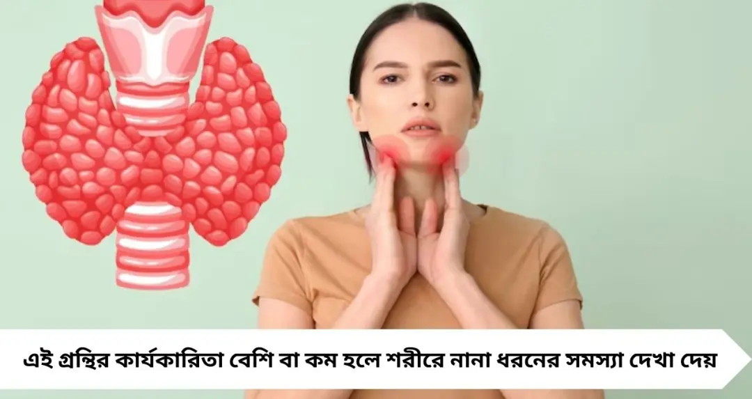 Thyroid Diet Alert: থাইরয়েড থাকলে সাবধান! রোজকার কিছু ফল-সবজি ও খাবারই বাড়াতে পারে বিপদ
