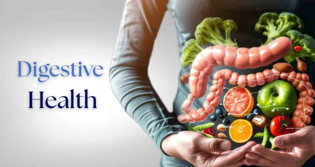 होली के रंगों के बाद पाचन परेशान? गैस और अपच से छुटकारा पाने के टिप्स