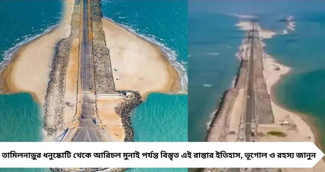 সমুদ্রের বুকে গিয়ে থেমে যায় রাস্তা! জানেন কোথায় ভারতের ‘লাস্ট রোড’? উত্তর জানেন না ৯৯% মানুষ
