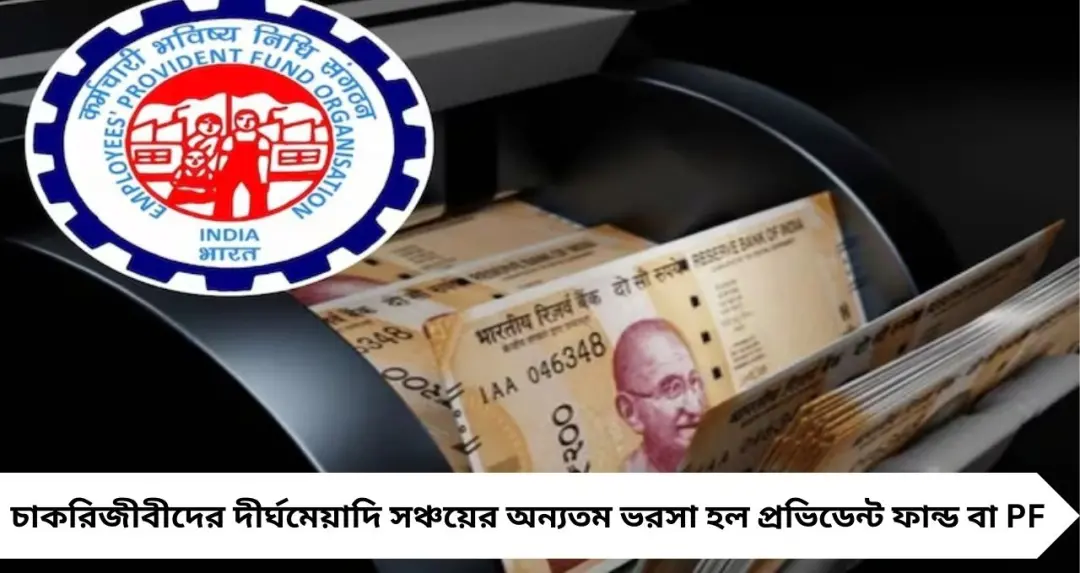 নতুন চাকরিতে বেতন ৩০,০০০ টাকা? জানেন কত PF কাটা হবে! EPFO নিয়মে সহজ হিসেব
