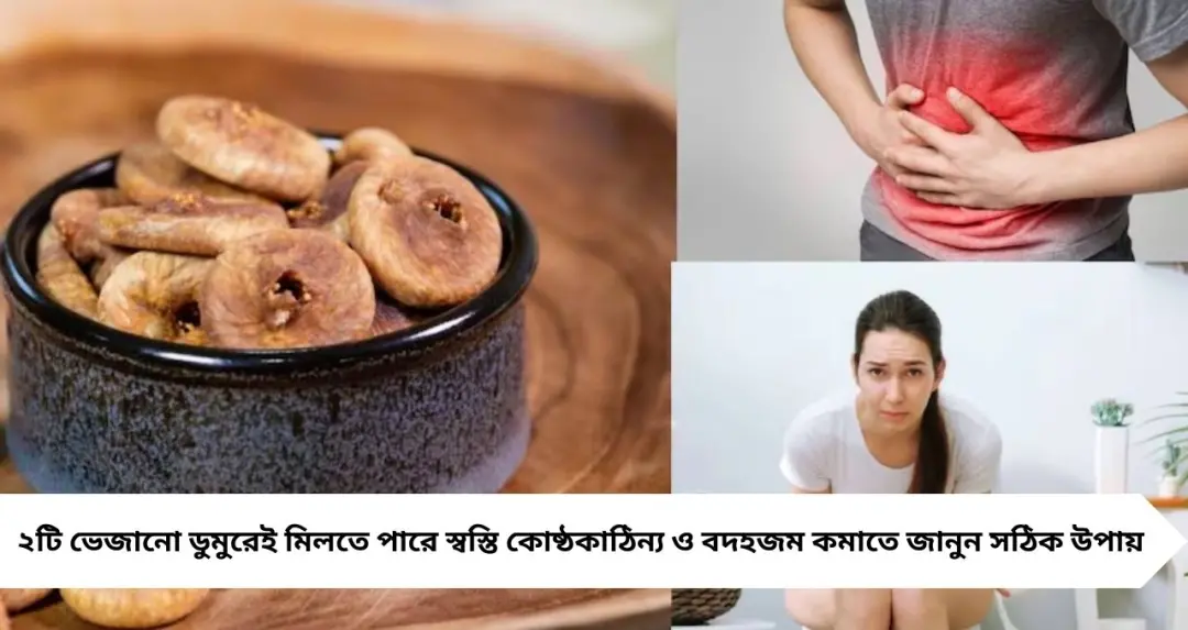 মাত্র ২টি ভেজানো ডুমুরেই মিলতে পারে স্বস্তি—গ্যাস, অম্বল ও বদহজমেও উপকার
