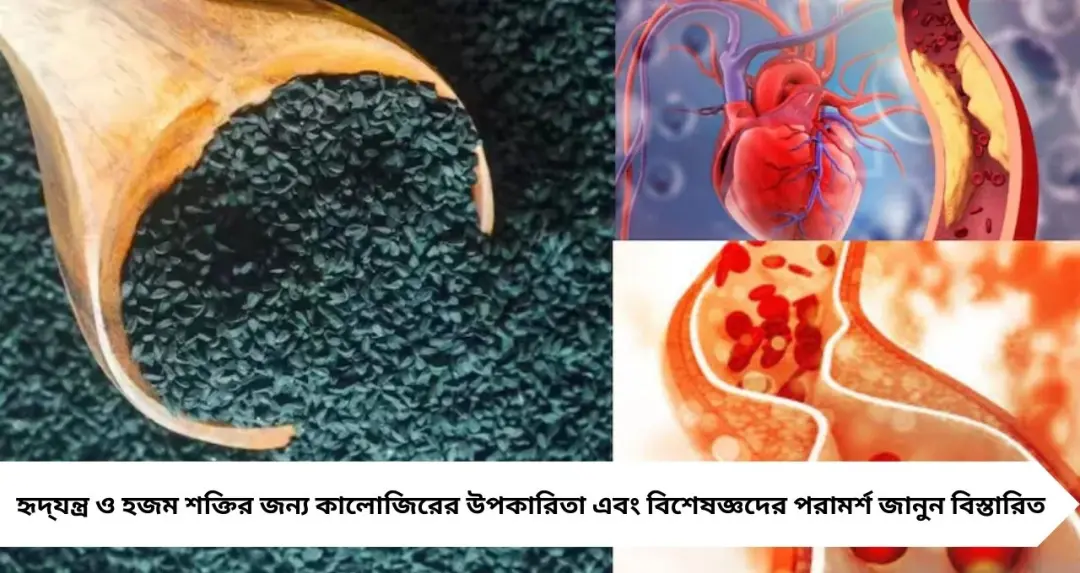 রান্নাঘরের ছোট কালো মশলাই বড় ওষুধ! রোজ ১ চামচ খেলেই কমতে পারে খারাপ কোলেস্টেরল, সুরক্ষিত থাকবে হৃদ্‌যন্ত্র
