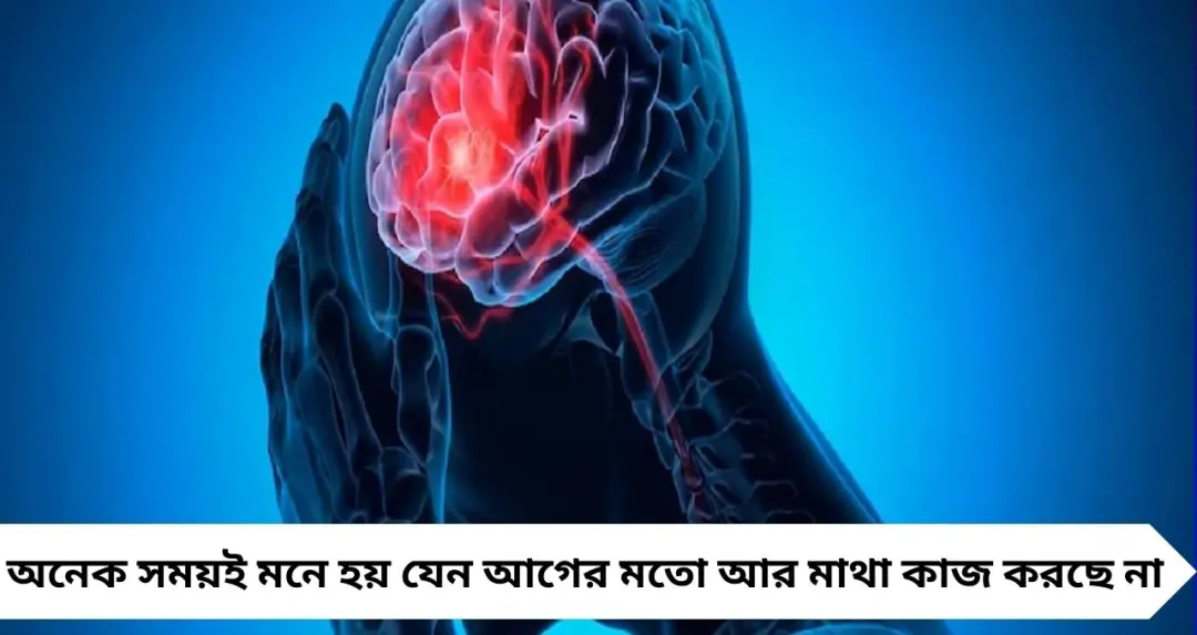 বারবার ভুলে যাচ্ছেন? মন বসছে না? ‘ব্রেন রট’-এর ফাঁদে পড়ছেন নাকি! লক্ষণ ও বাঁচার উপায় জানুন
