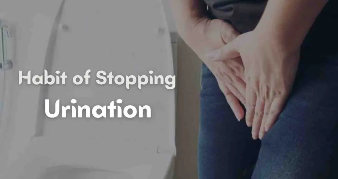 शरीर के लिए खतरनाक हो सकता है पेशाब रोकना, जानें वजह और सावधानियां