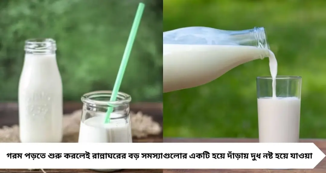 Kitchen Tips: গরমেও নষ্ট হবে না প্যাকেটের দুধ! রান্নাঘরের এই সহজ টিপস জানলে থাকবেন নিশ্চিন্ত
