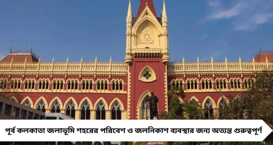 পূর্ব কলকাতা জলাভূমিতে বেআইনি নির্মাণ, ভাঙতে দেরি হলে সেন্ট্রাল ফোর্স নামানোর হুঁশিয়ারি হাইকোর্টের
