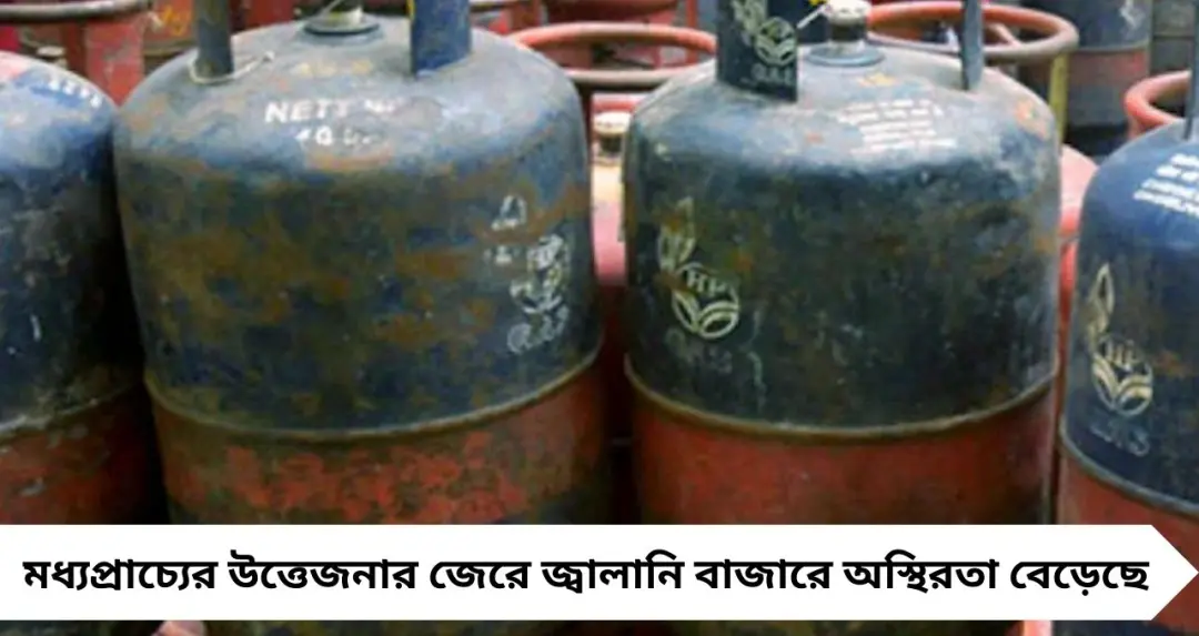 Cooking Gas Price Hike: যুদ্ধের প্রভাব রান্নাঘরে, ৬০ টাকা বাড়ল এলপিজি! কম গ্যাসে রান্না করার সহজ ৭ টিপস জানুন
