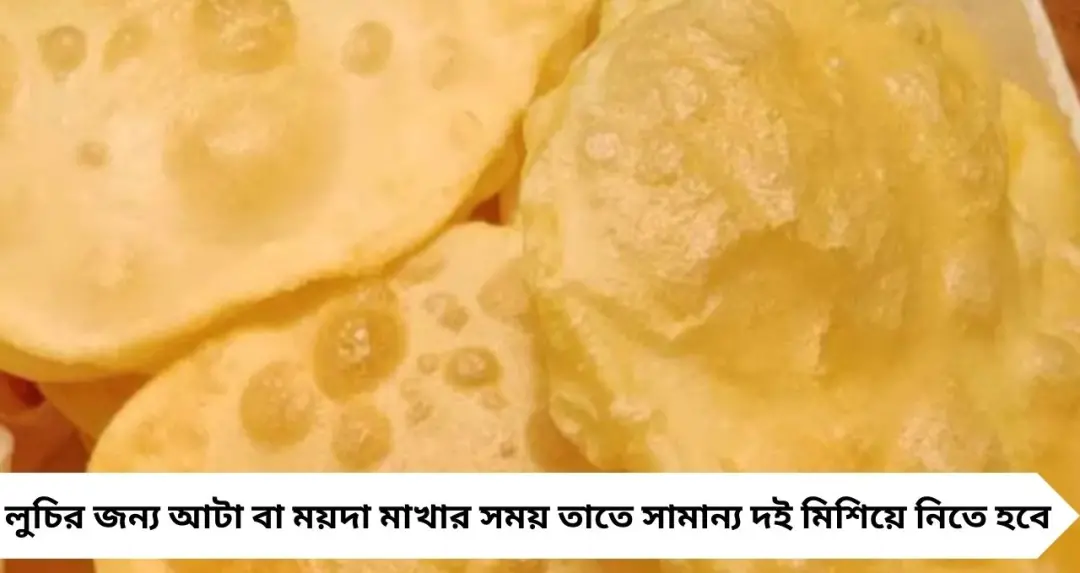 Luchi Recipe: তেল ছাড়াই ফুলকো লুচি! জলে ভেজে বানান সুস্বাদু লুচি, বাড়বে না ওজনও
