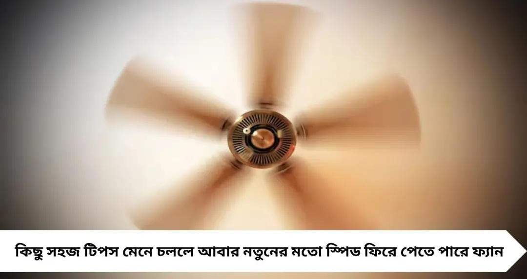 গরমে ফ্যান ঘুরছে ধীরে? এই সহজ টিপস মানলেই আবার ফুল স্পিডে চলবে সিলিং ফ্যান
