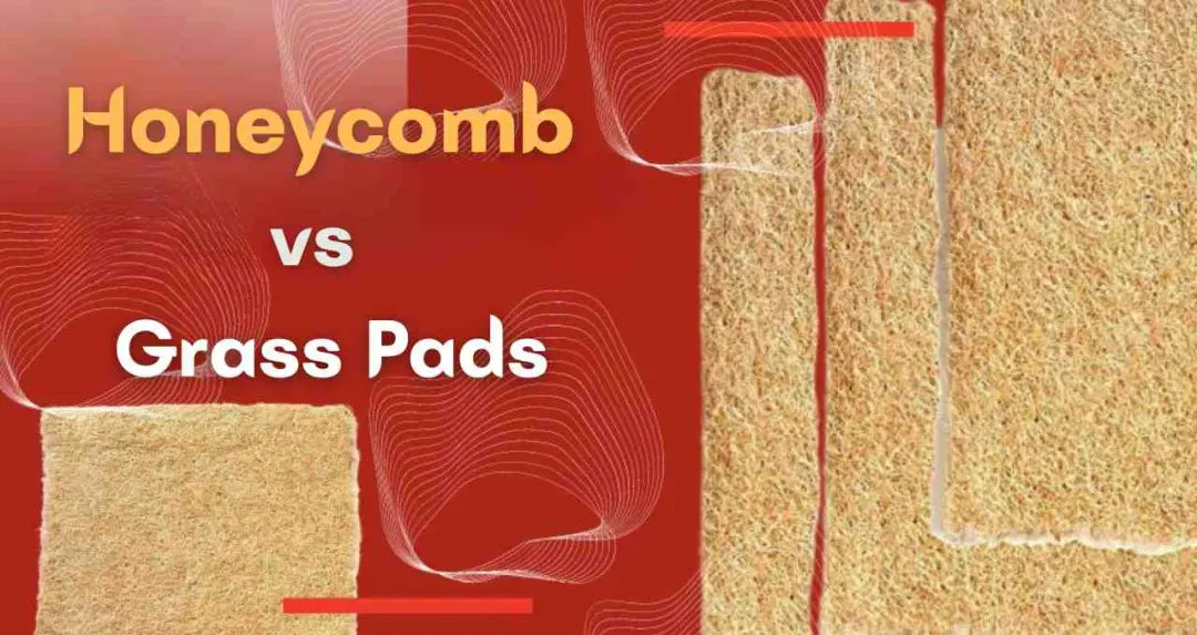 कूलर में Honeycomb और Grass Pads में क्या फर्क है? जानें कौन सा विकल्प आपके लिए बेहतर